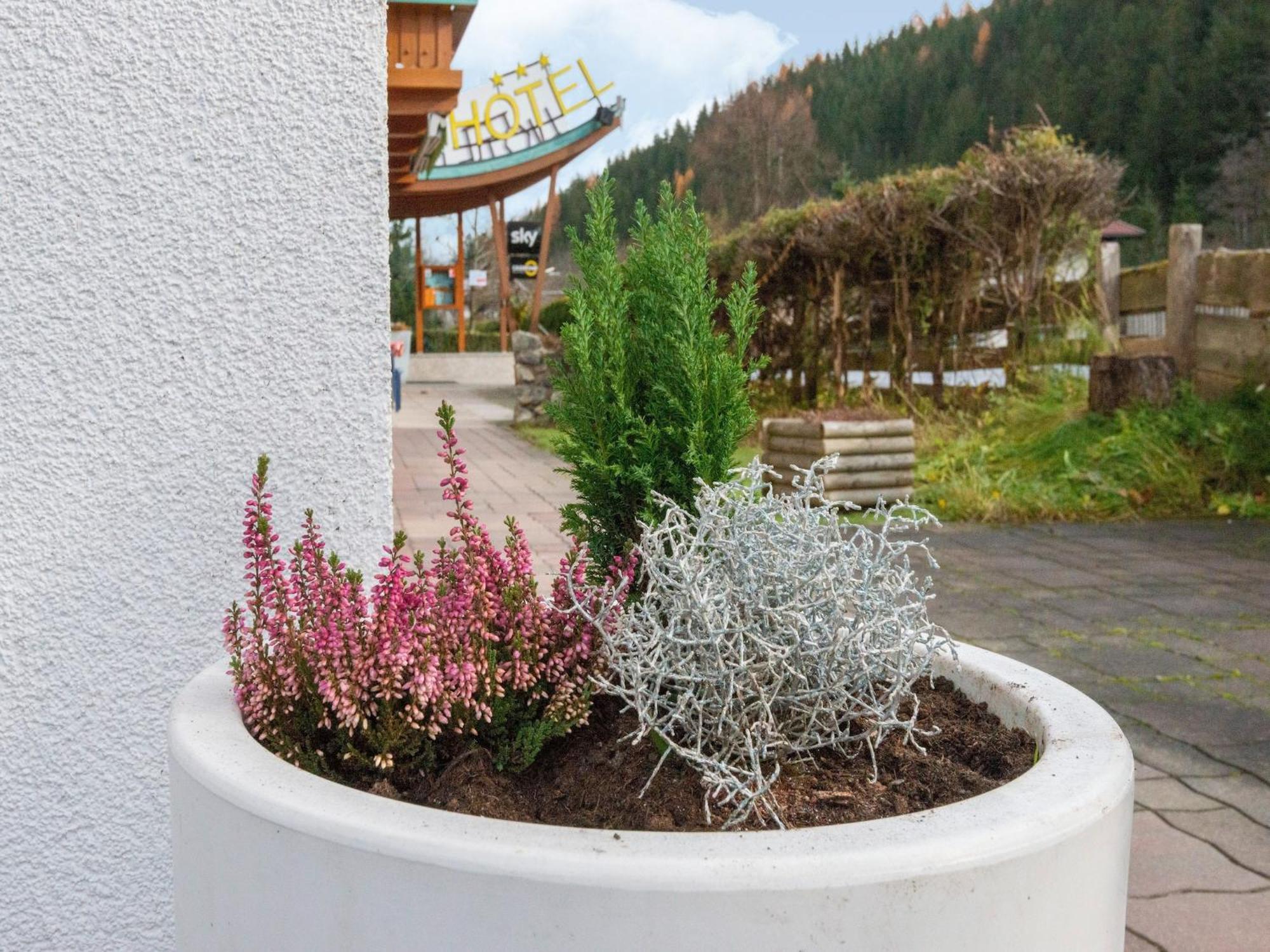 Lovely Apartment With Sauna Ski Storage Pool Terrace Wald im Pinzgau Dış mekan fotoğraf